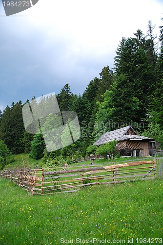 Image of lonely wooden house in forest