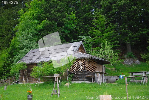 Image of lonely wooden house in forest