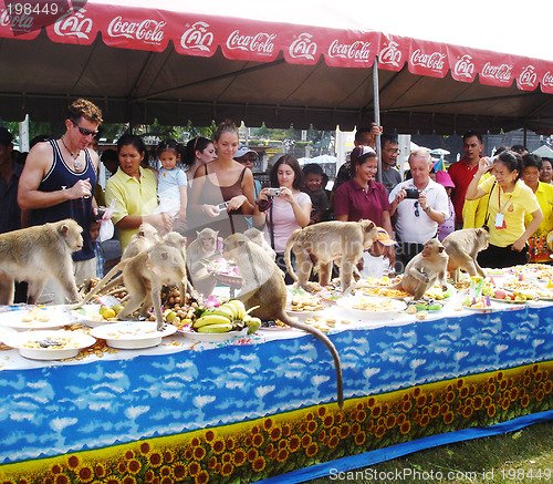 Image of Monkey festival in Thailand - EDITORIAL