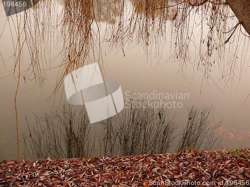 Image of Mirror