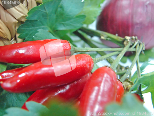 Image of red hot pepper