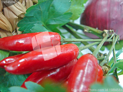 Image of red hot pepper