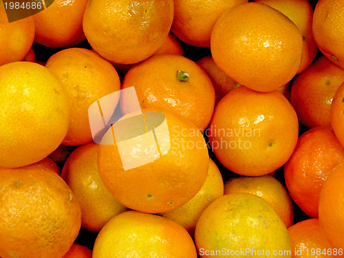 Image of clementine