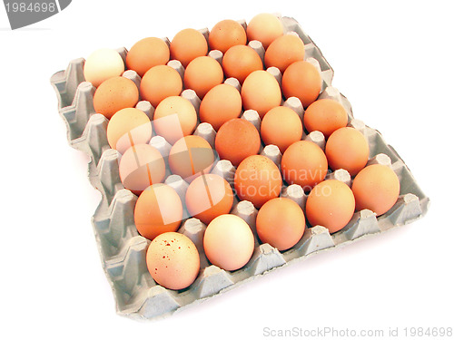 Image of pack of eggs