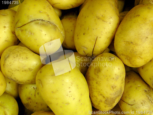 Image of potato