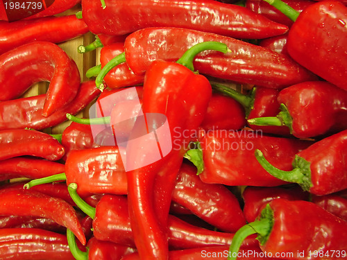 Image of red hot chili pepper