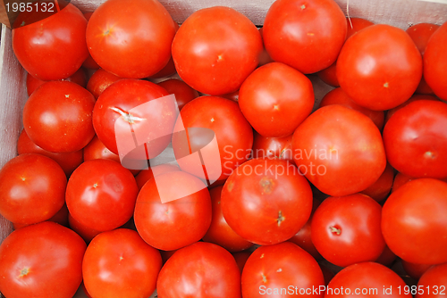 Image of tomato