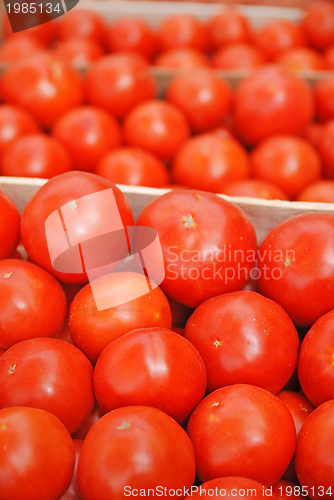 Image of tomato