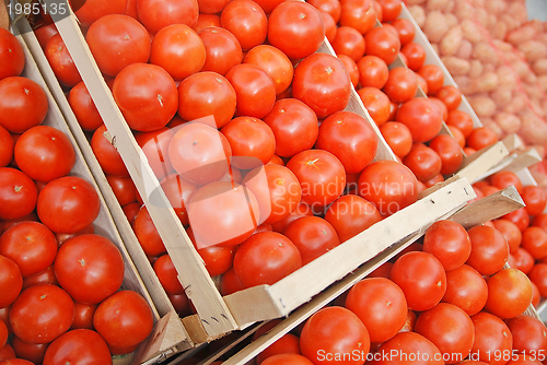 Image of tomato