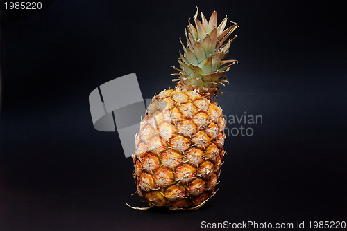 Image of ananas on black background