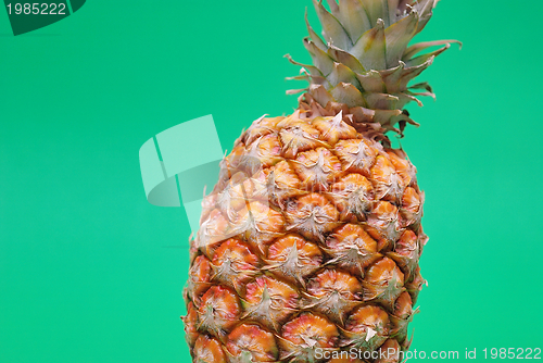 Image of ananas on green background