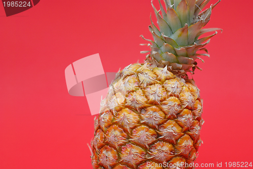 Image of ananas on red background