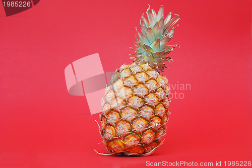 Image of ananas on red background