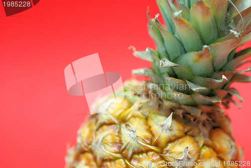 Image of ananas on red background