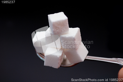 Image of sugar 