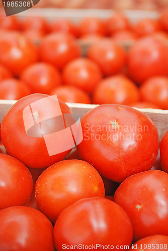 Image of tomato