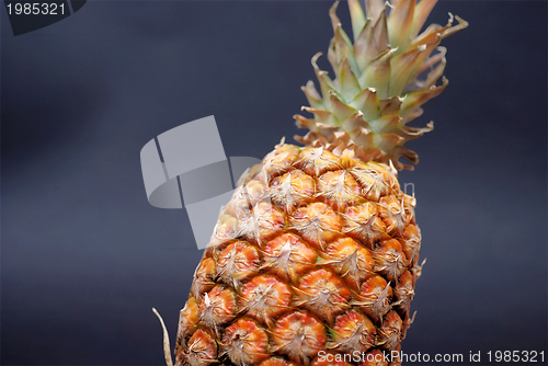 Image of ananas on black background