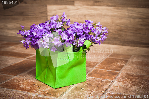 Image of campanula blue a close up