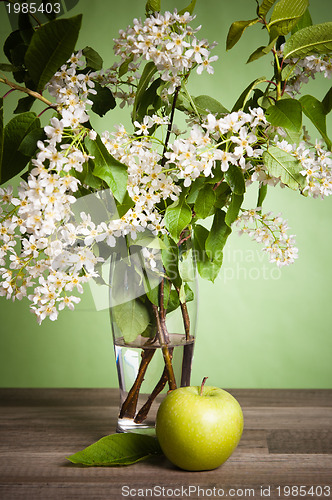 Image of Bouquet of a blossoming bird cherry in a vase on a table