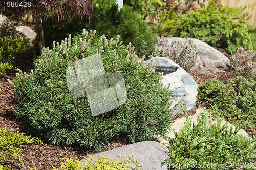 Image of corner of the garden in Japanese style