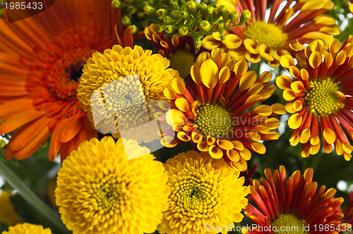 Image of a bouquet of summer flowers, close-up 