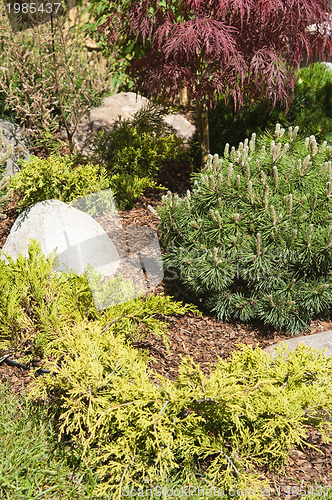 Image of corner of the garden in Japanese style