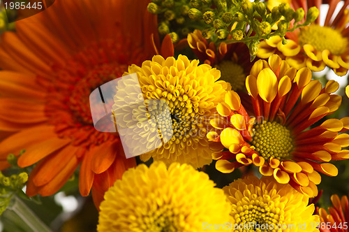 Image of a bouquet of summer flowers, close-up 