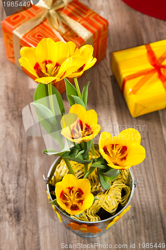 Image of It is red yellow tulips and gift boxes, a close up