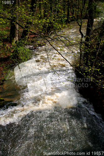 Image of Rivulet