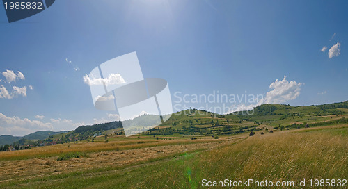 Image of summer landscape