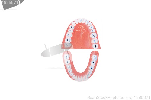 Image of teeth illustration