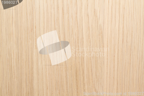 Image of wood Texture