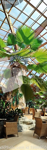 Image of tropical restaurant indoor