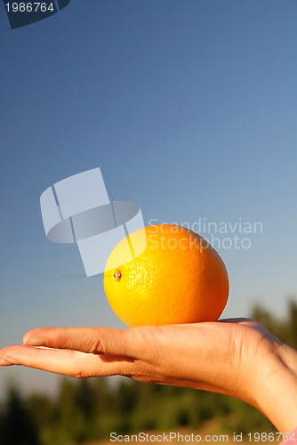 Image of female hand balancing iorange in air