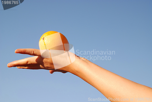 Image of female hand balancing iorange in air