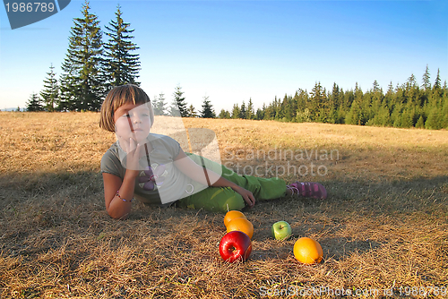 Image of healthy picnic