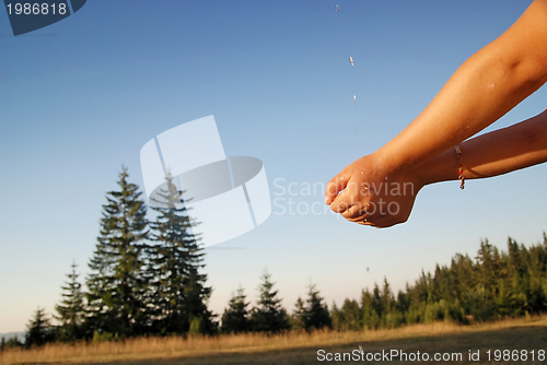 Image of fresh water falling on children hands