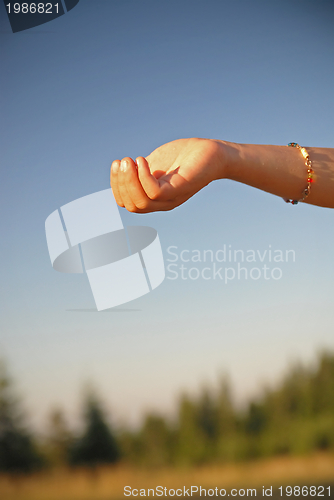 Image of fresh water falling on children hands