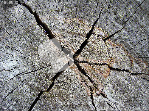 Image of Wooden dark background