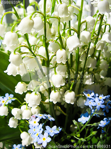 Image of Bouquet of lilies of the valley and blue flowers