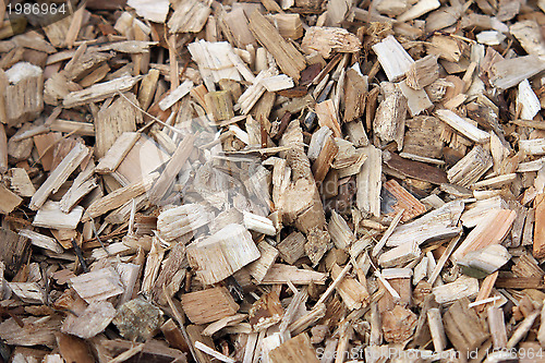Image of Holz, Wood,