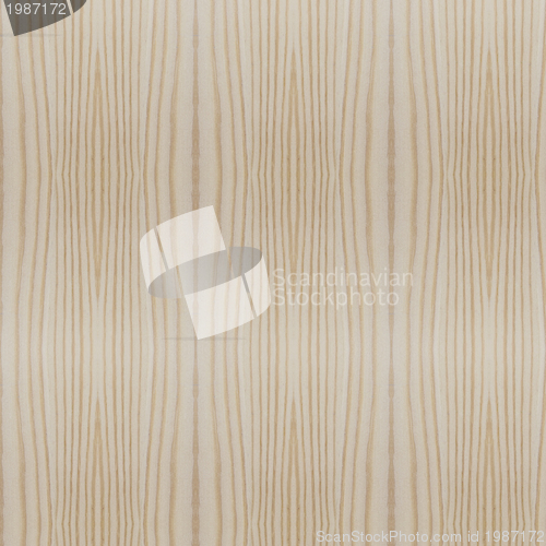 Image of wood Texture