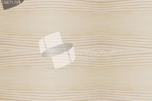 Image of wood Texture