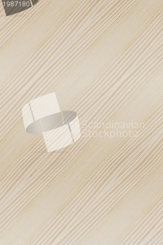 Image of wood Texture