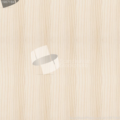 Image of Wood Texture