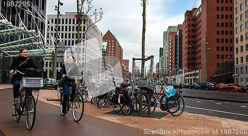 Image of Friends on Bicycles
