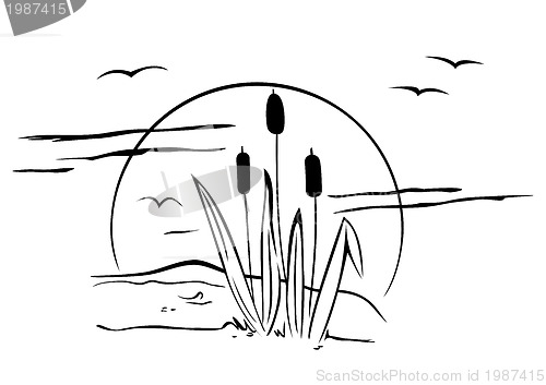 Image of Cattails on illustration