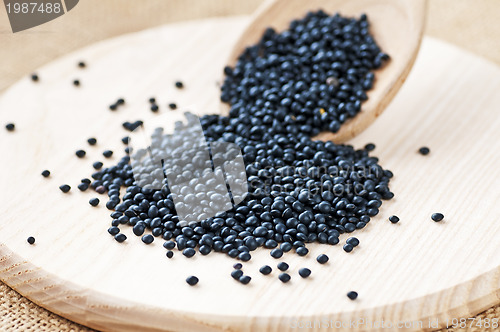 Image of Beluga lentils