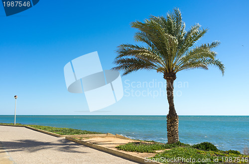 Image of Mediterranean promenade