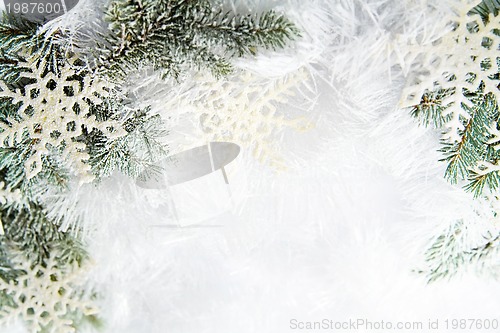 Image of Snowy spruce branches